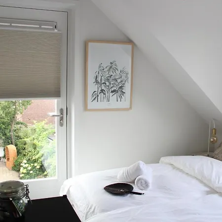 Hotel Paradis