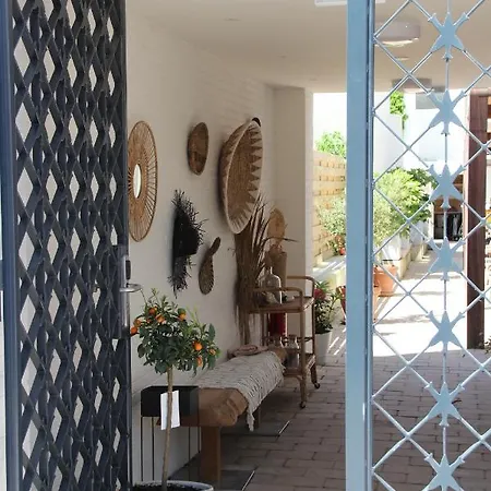 Paradis זנדוורט