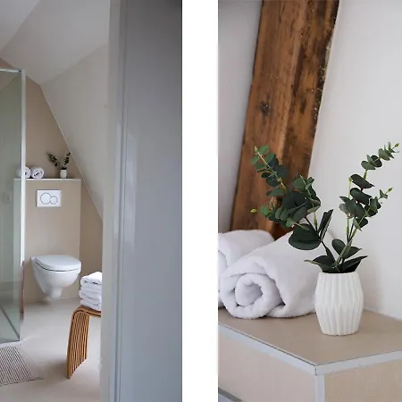 Paradis זנדוורט