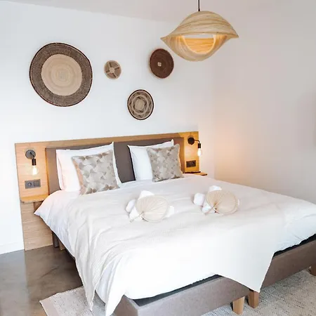 Paradis 赞德沃特