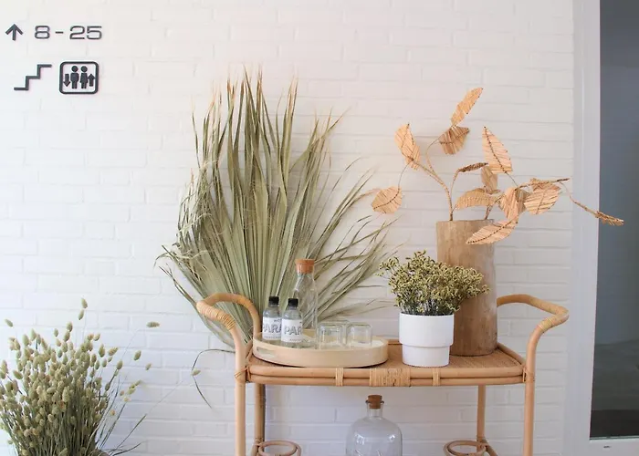 Paradis Hotel Zandvoort