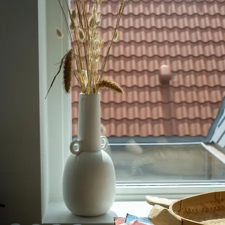 Paradis Zandvoort